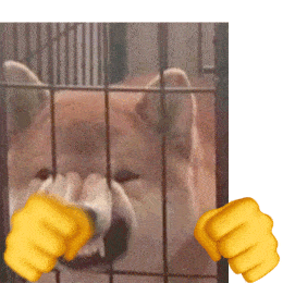  抖音热门表情包,爱了爱了