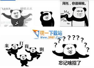  熊猫比武qq表情包熊猫比武qq动态表情包免费版飞极下载站