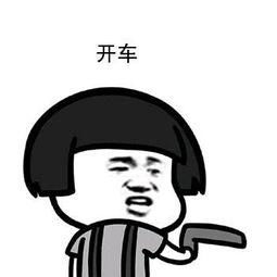  关于开车的表情包合集我可以约你一起开车吗