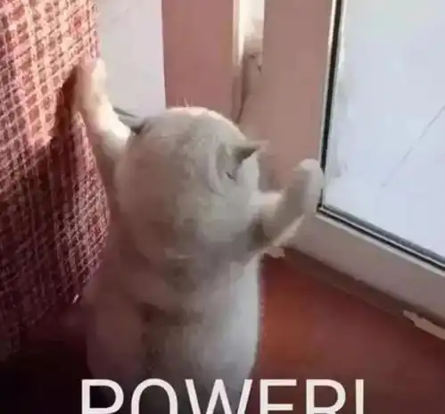 最后的赢家全员配合赵又廷飙戏秦霄贤直接大喊放回去 最后的赢家全员配合赵又廷飙戏秦霄贤直接大喊放回去