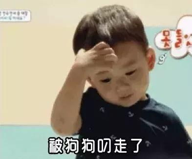  神回复老师,我不是忘带作业了,我就没写