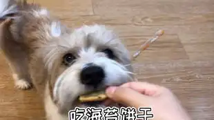 奶包带你做眼保健操 奶包带你做眼保健操