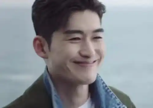 张翰表情包真的吗