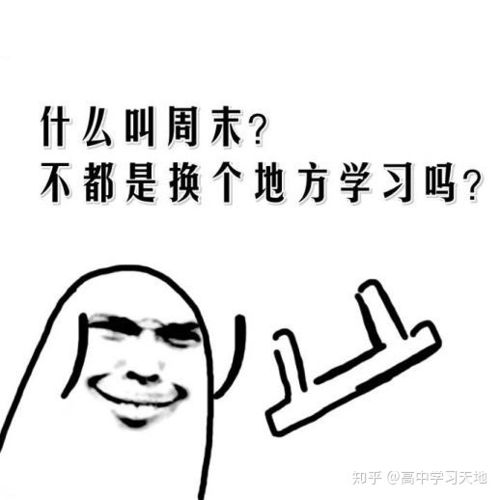  高中政治大题怎么写