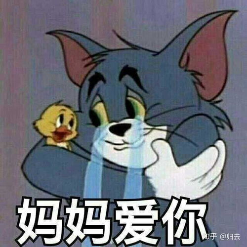  如何评价罗云熙现在的热度