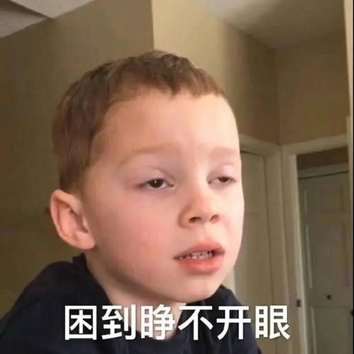 熊猫表情包挑战365天不想你