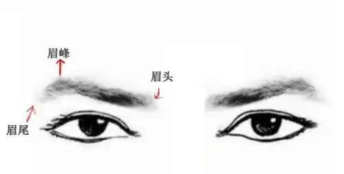 听说今年流行这样画眉毛不存在的 听说今年流行这样画眉毛不存在的