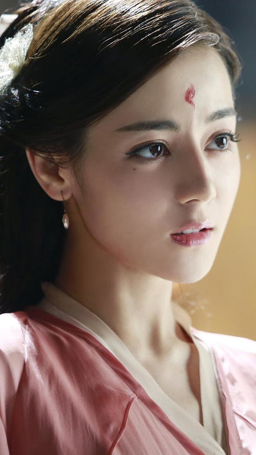  我的收藏