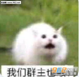  我们群主敢日五档电风扇表情包我们群主敢日表情包下载乐游网游戏下载