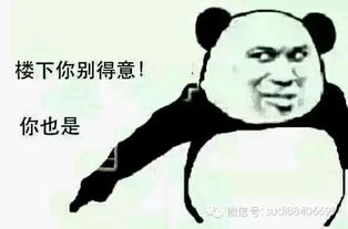  醉酒新郎踢断妻子肋骨狱中度过新婚夜