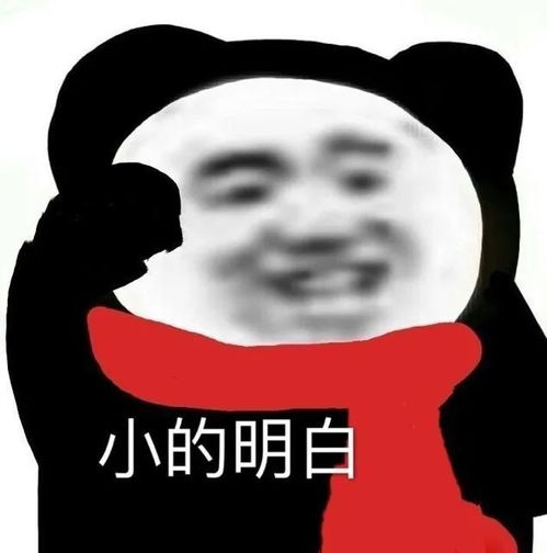 熊猫头表情包i不要欺负人家好不啦 熊猫头表情包i不要欺负人家好不啦