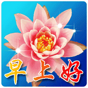  我就是从这儿跳下去,也不会用中老年表情包的真香网易订阅