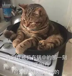 猫咪呕吐表情包长安cs55