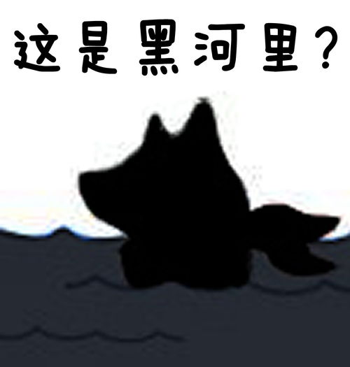  mr.quin秦先生这事合理吗这是河里吗表情包