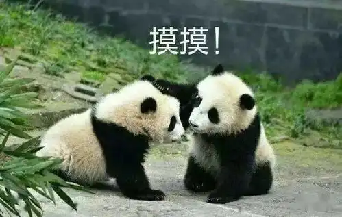 吃太多被退货,也就大熊猫干得出来 吃太多被退货,也就大熊猫干得出来