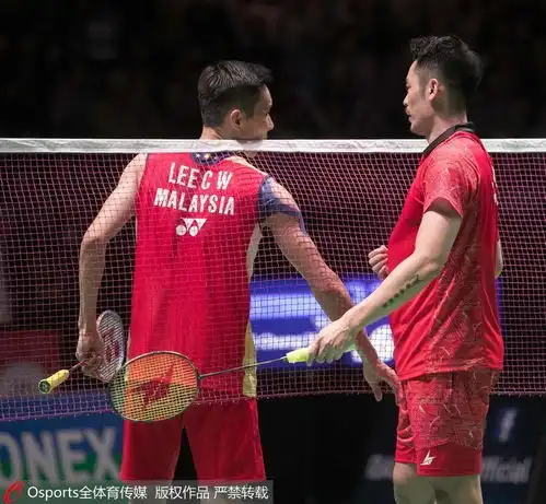 高清全英羽毛球公开赛林丹拿下第40回林李大战 高清全英羽毛球公开赛林丹拿下第40回林李大战