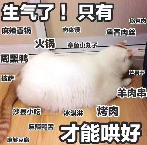 千万别偷看男友淘宝搜索记录网友晒出偷看结果,数千个跟帖表示扎心了 千万别偷看男友淘宝搜索记录网友晒出偷看结果,数千个跟帖表示扎心了