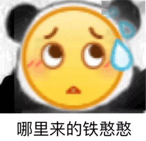  熊猫头表情包i所有人都说你是个骚货