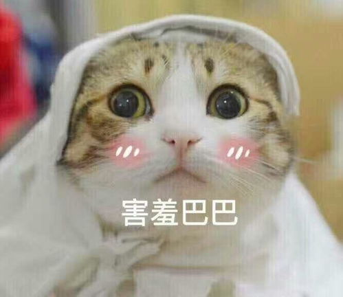  女生有一头短发是种怎样的体验
