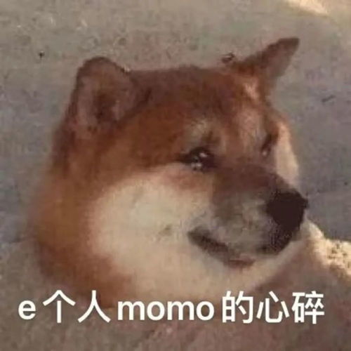  全网刷屏的我emo了到底是什么梗用英语又该怎么说