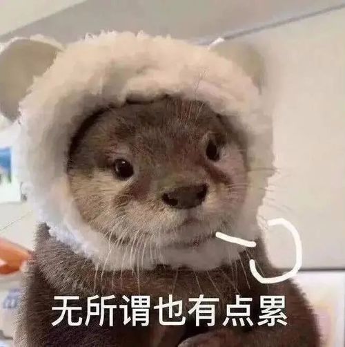  表情包我好累,要哥哥抱抱