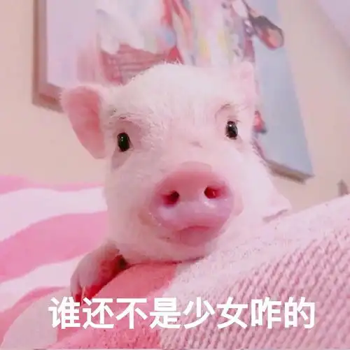 6.10关于公考家居和夏日穿搭 6.10关于公考家居和夏日穿搭