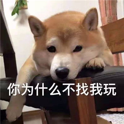 聊天表情包早上好不好也可以随便你 聊天表情包早上好不好也可以随便你