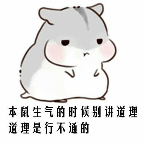  有哪些表情包可以用来撩汉