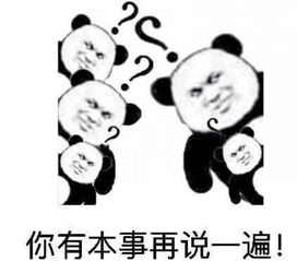  俞敏洪从英文水平看雷军刘强东与马云的差距