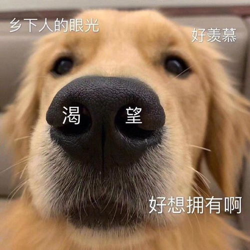  表情包对方向你发出洗澡邀请