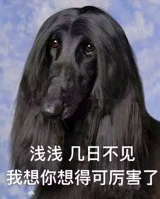  三生三世大结局这里有三生豪华表情包