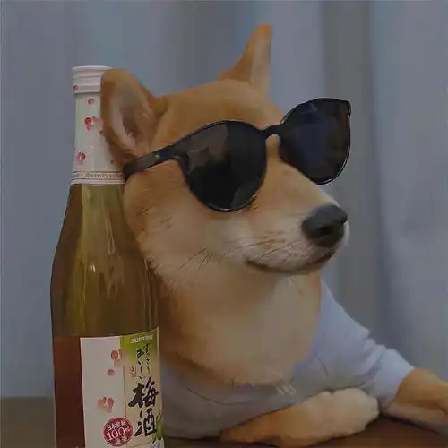 动物头像表情包 动物头像表情包