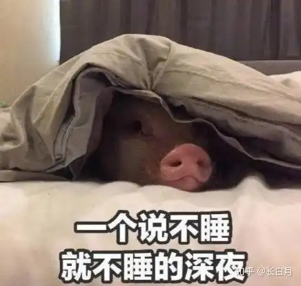 无聊的延长的宅寒假不,我们可以改变它给当前因疫情宅在家的大学生的资深建议良心干货 无聊的延长的宅寒假不,我们可以改变它给当前因疫情宅在家的大学生的资深建议良心干货