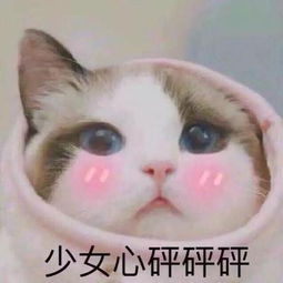  石原里美唐艺昕古天乐林峰被爆婚讯自然美与网红脸,哪个才是直男斩