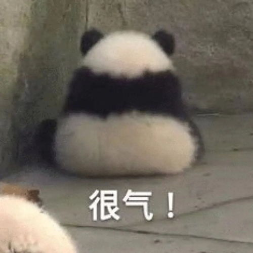 太真实了熊猫表情包行为