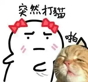  恕我直言,养猫的人不配拥有花瓶猫叔