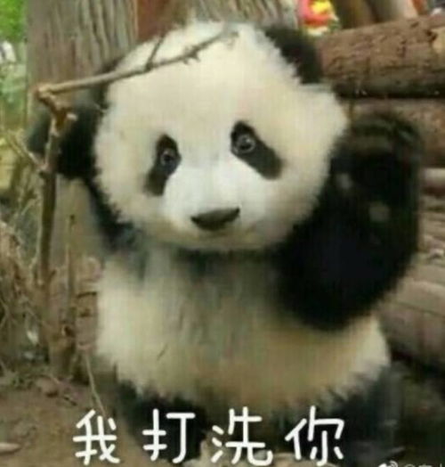 快乐薯片表情包熊猫