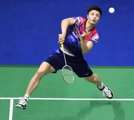  羽毛球苏迪曼杯半决赛中国队晋级决赛