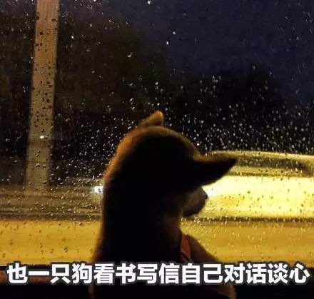  动图宇宙情人节创意表白表情包,又刷屏