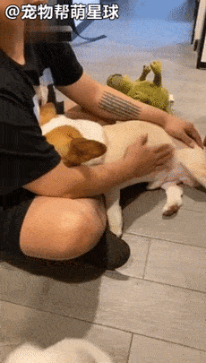 来爸爸怀里求安慰表情