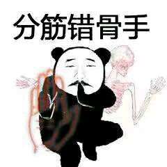  佛山黄飞鸿请赐教表情包下载熊猫武功请赐教表情包高清无水印