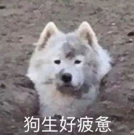  25岁女生开奔驰哪个系列比较好