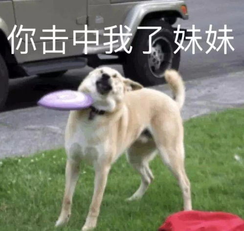  光遇有什么纸船让你停下脚步忍不住点赞