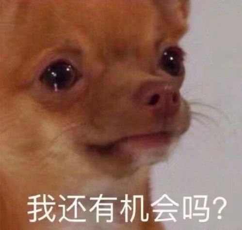  我遇到了磕cp人生中的滑铁卢