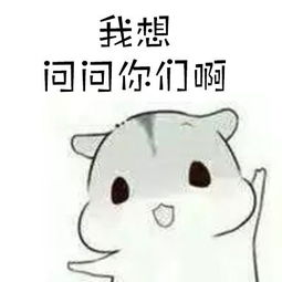 胖女人表情包卡通仓鼠