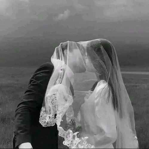 一些甜到骨子里的情话2 一些甜到骨子里的情话2