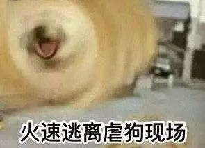  凭什么送女票七夕礼物,我做慈善呀