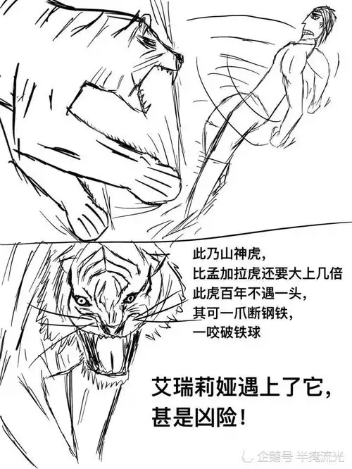 人在武器匮乏的状态下能不能打过老虎 人在武器匮乏的状态下能不能打过老虎