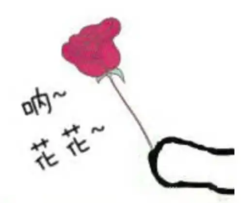  这车疯了记分累计1260分罚款45500元