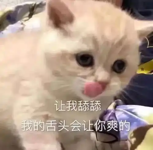 狗生有了点疲惫 狗生有了点疲惫